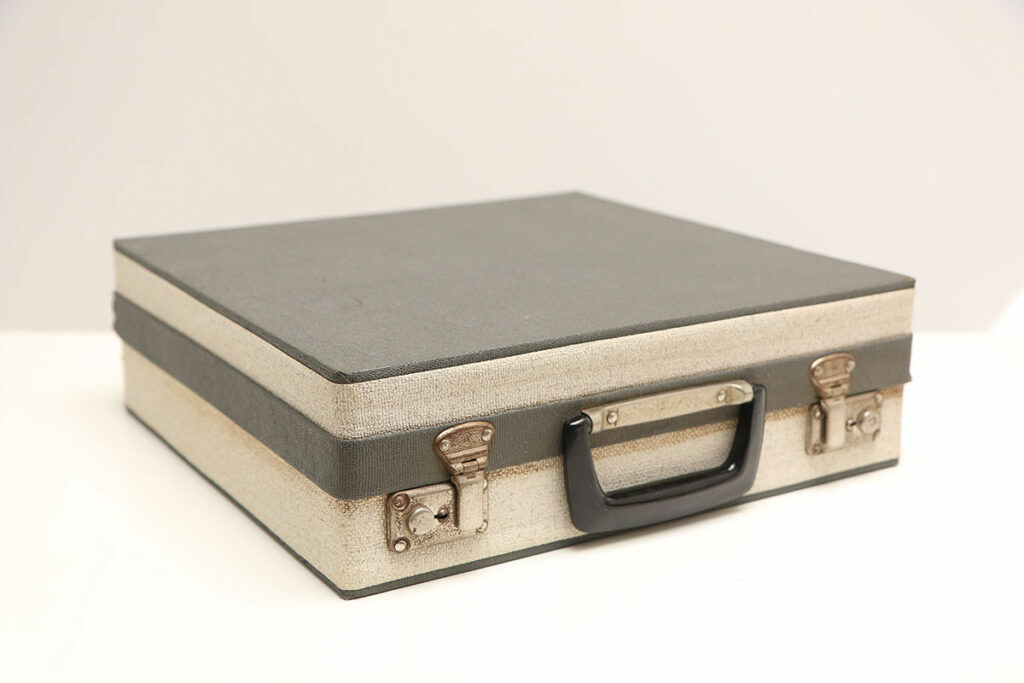 vintage platenkoffer harmonica