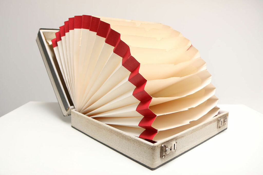 vintage platenkoffer harmonica