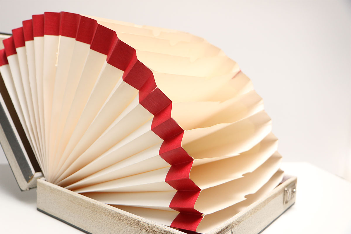 2e hands platenkoffer